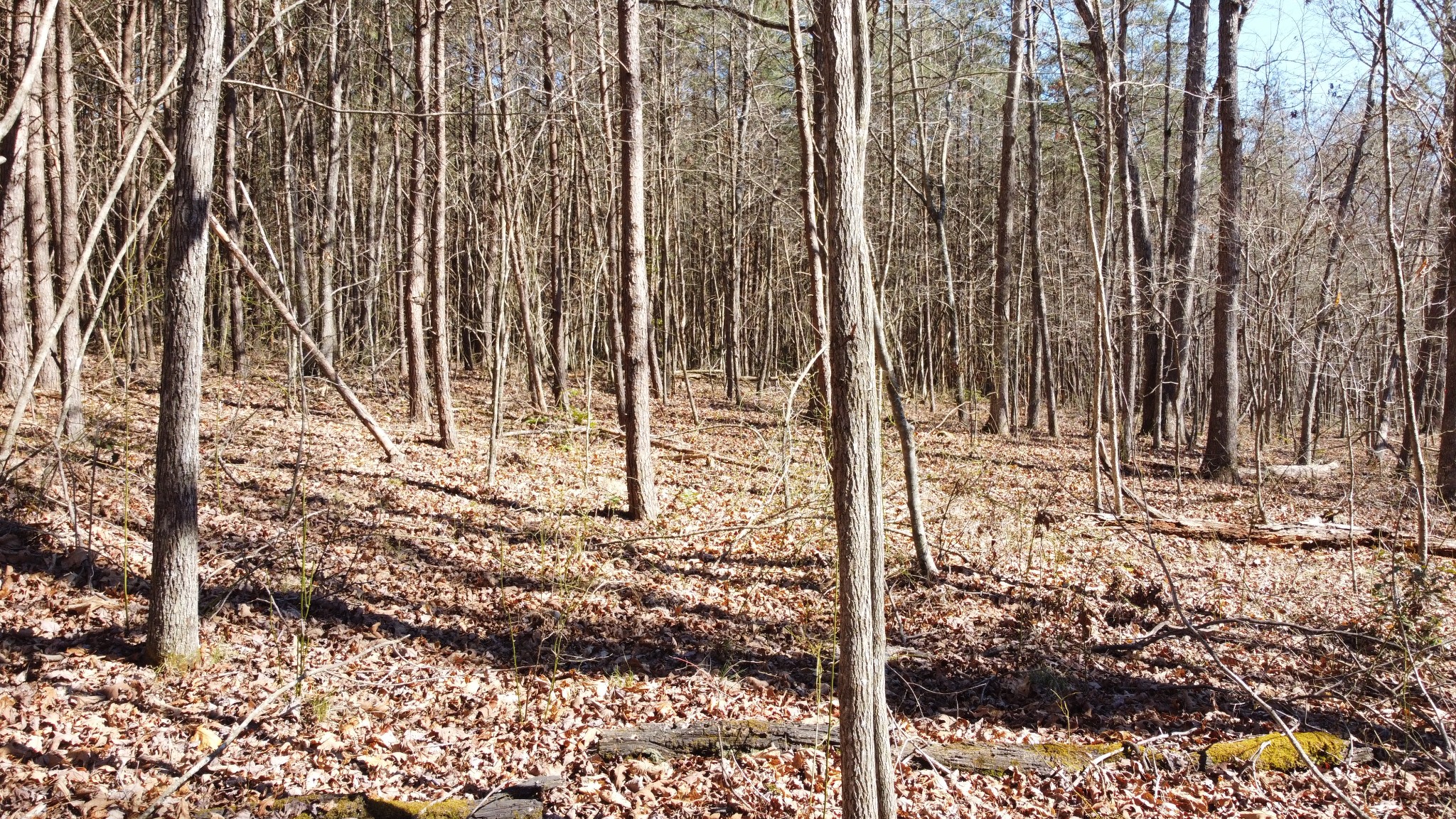 0 Rolling Hills Drive Spencer TN 38585