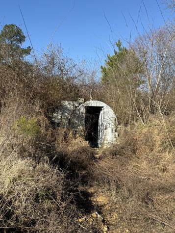 584 Rabbit Trail Road, SE Leoma TN 38468