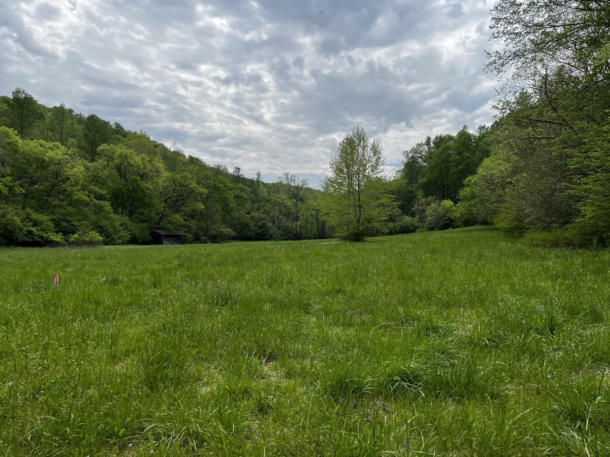7430 Indian Creek Road Nashville TN 37209
