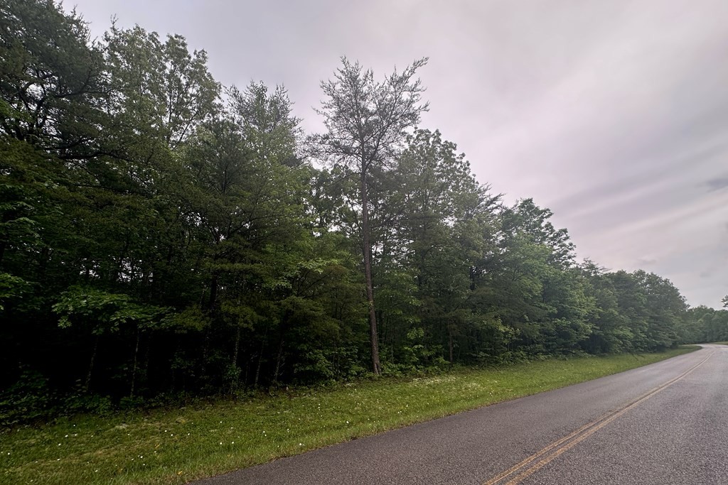 0 Cumberland Lakes Drive Monterey TN 38574
