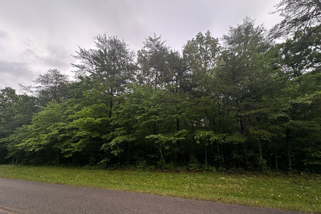 0 Cumberland Lakes Drive Monterey TN 38574