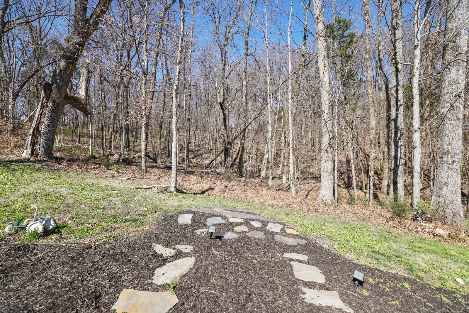8642 Belladonna Drive College Grove TN 37046