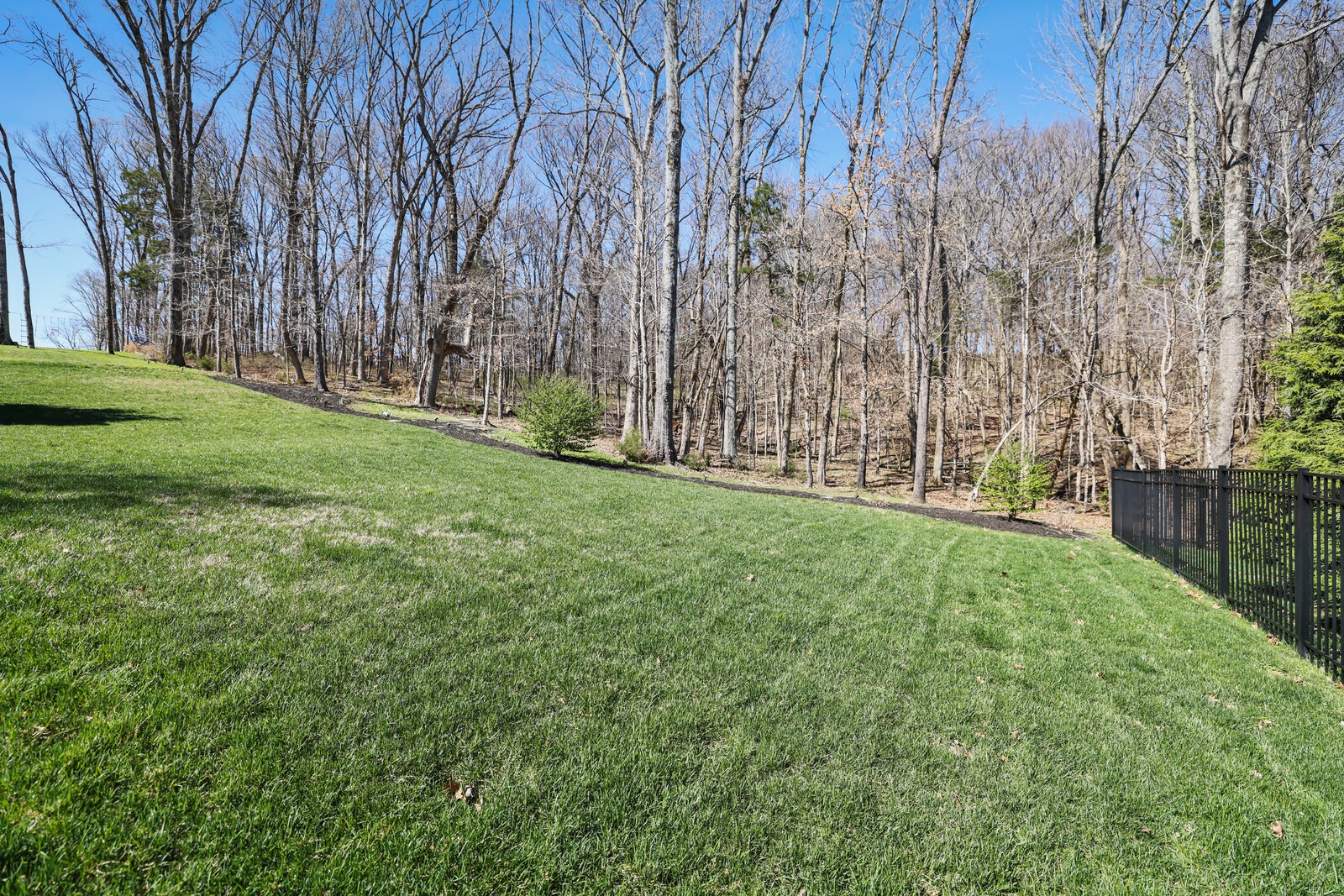 8642 Belladonna Drive College Grove TN 37046