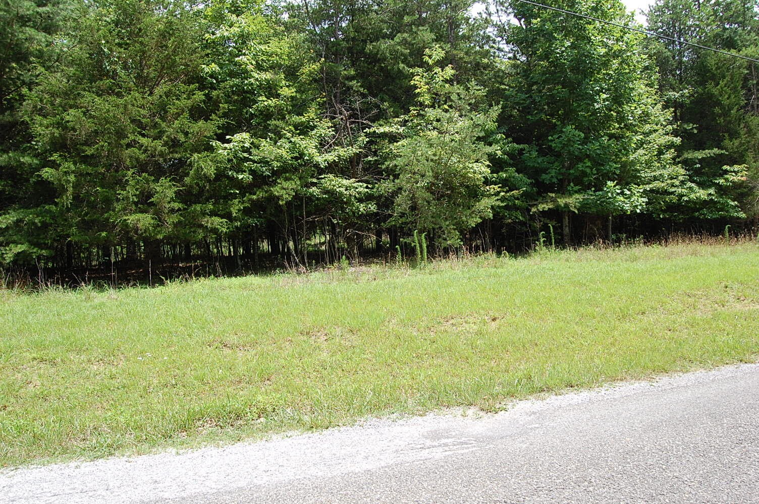 36 Stone Creek Trail Dunlap TN 37327