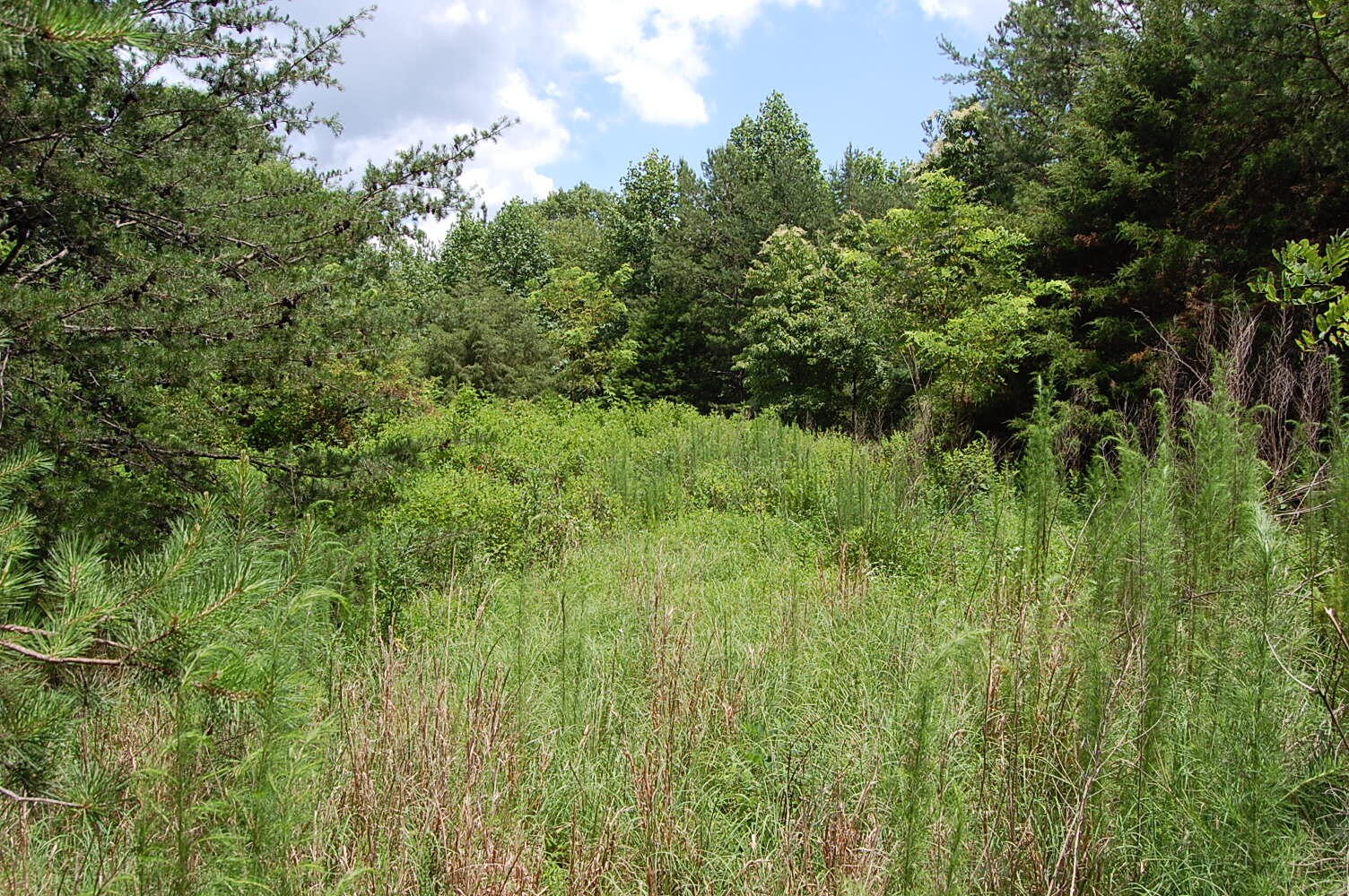 36 Stone Creek Trail Dunlap TN 37327