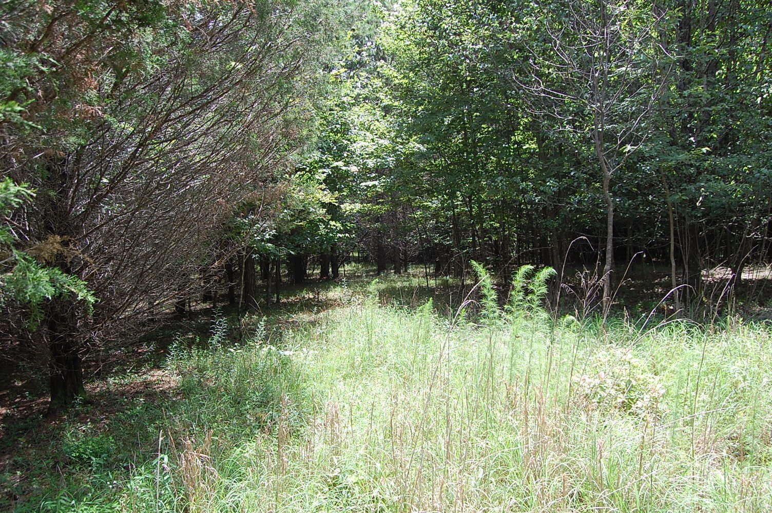36 Stone Creek Trail Dunlap TN 37327