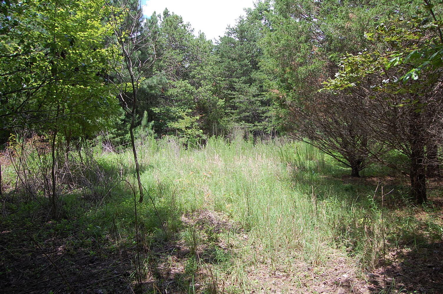 36 Stone Creek Trail Dunlap TN 37327