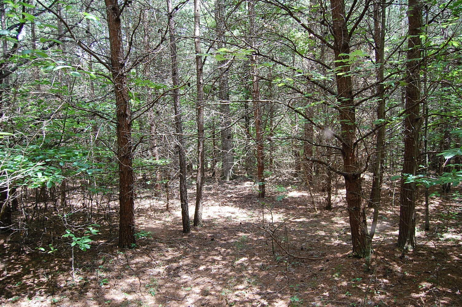 36 Stone Creek Trail Dunlap TN 37327