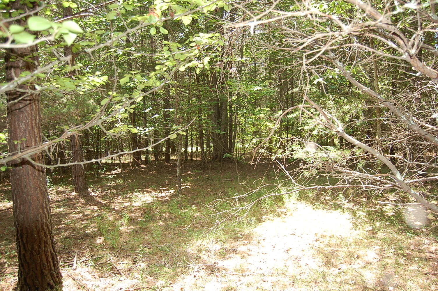 36 Stone Creek Trail Dunlap TN 37327