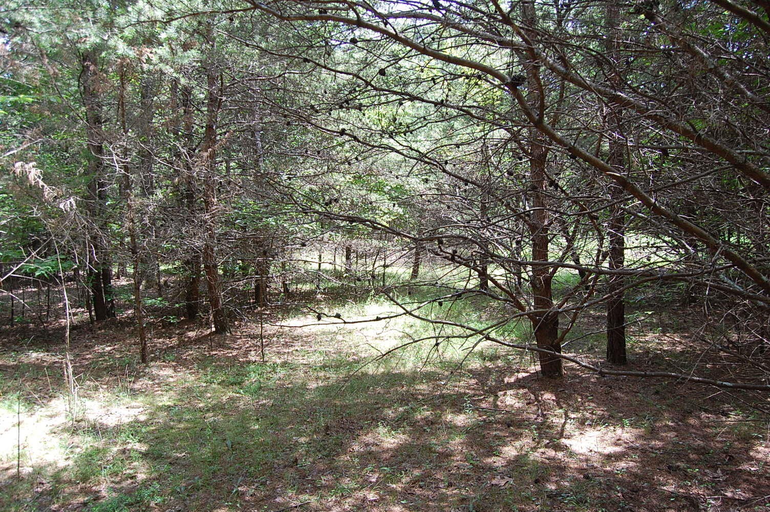 36 Stone Creek Trail Dunlap TN 37327