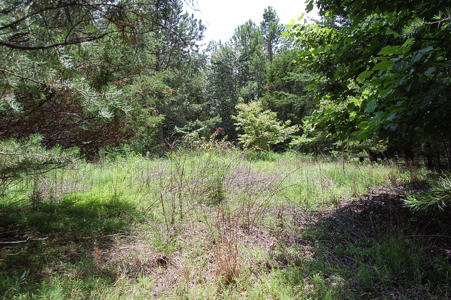 36 Stone Creek Trail Dunlap TN 37327
