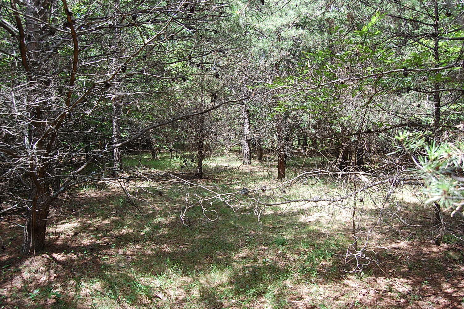 36 Stone Creek Trail Dunlap TN 37327