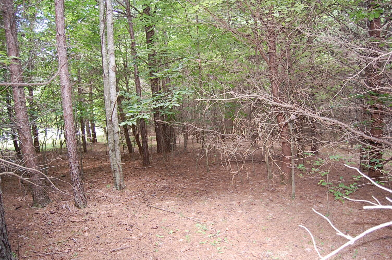 36 Stone Creek Trail Dunlap TN 37327