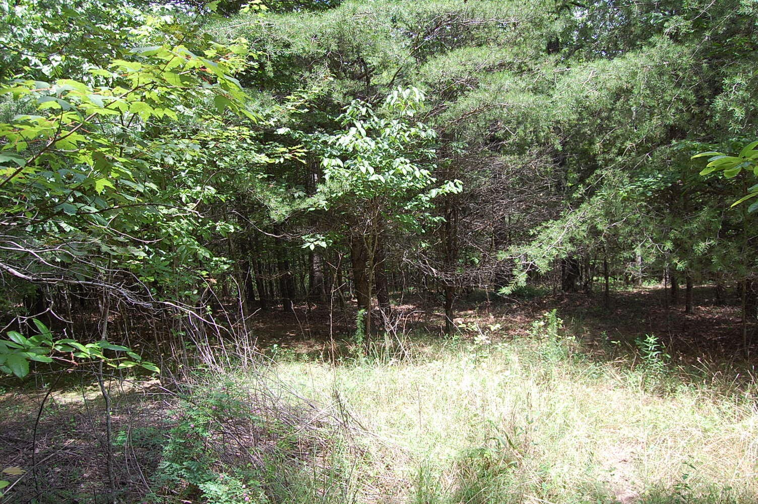 36 Stone Creek Trail Dunlap TN 37327