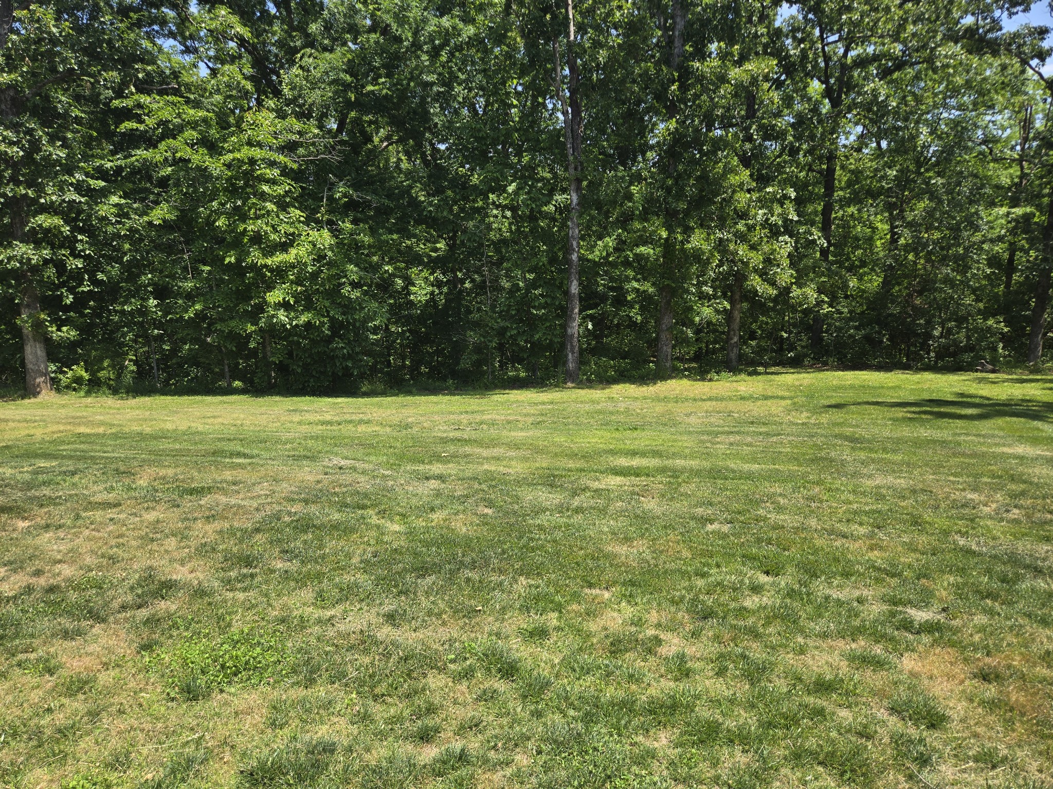 111 Friel Drive Waverly TN 37185