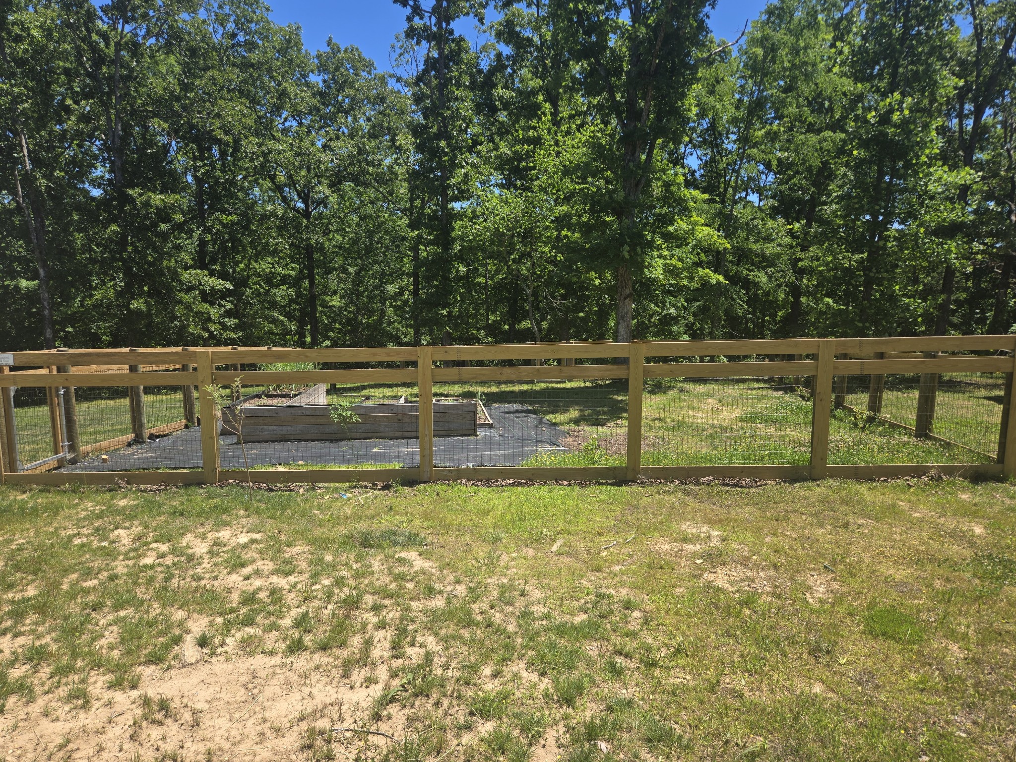111 Friel Drive Waverly TN 37185