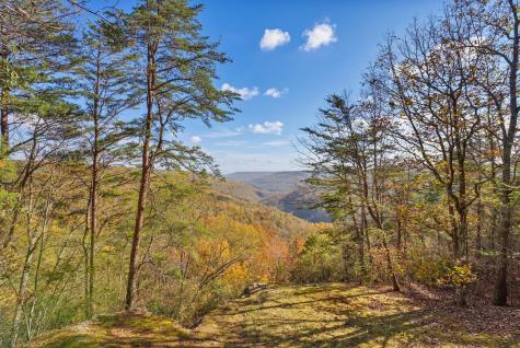 524 Sweetberry Drive Monteagle TN 37356