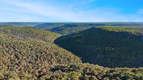 524 Sweetberry Drive Monteagle TN 37356