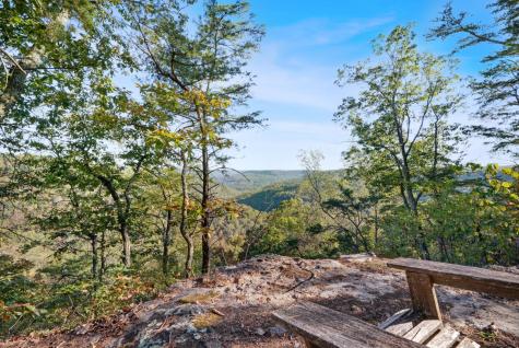 524 Sweetberry Drive Monteagle TN 37356