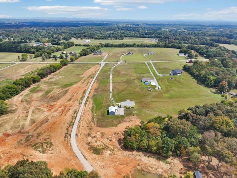 1317 Halls Mill Road Unionville TN 37180