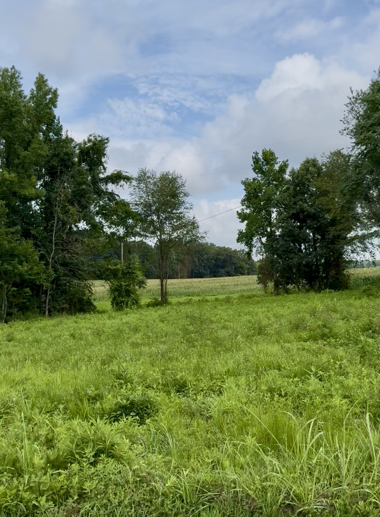 255 Shoals Road Rock Island TN 38581