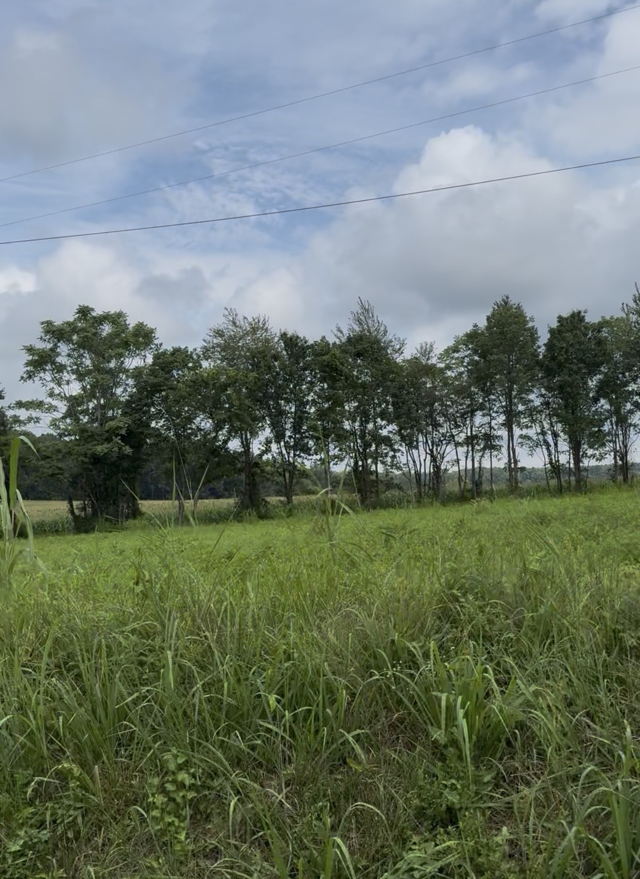 255 Shoals Road Rock Island TN 38581