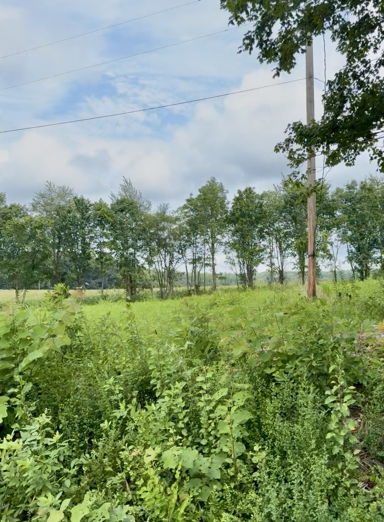 255 Shoals Road Rock Island TN 38581