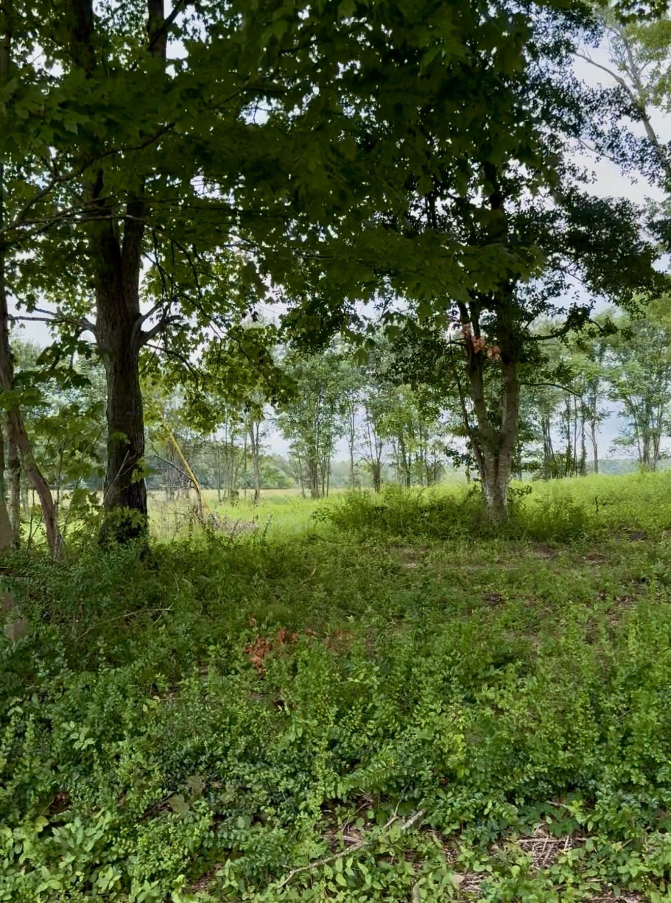 255 Shoals Road Rock Island TN 38581