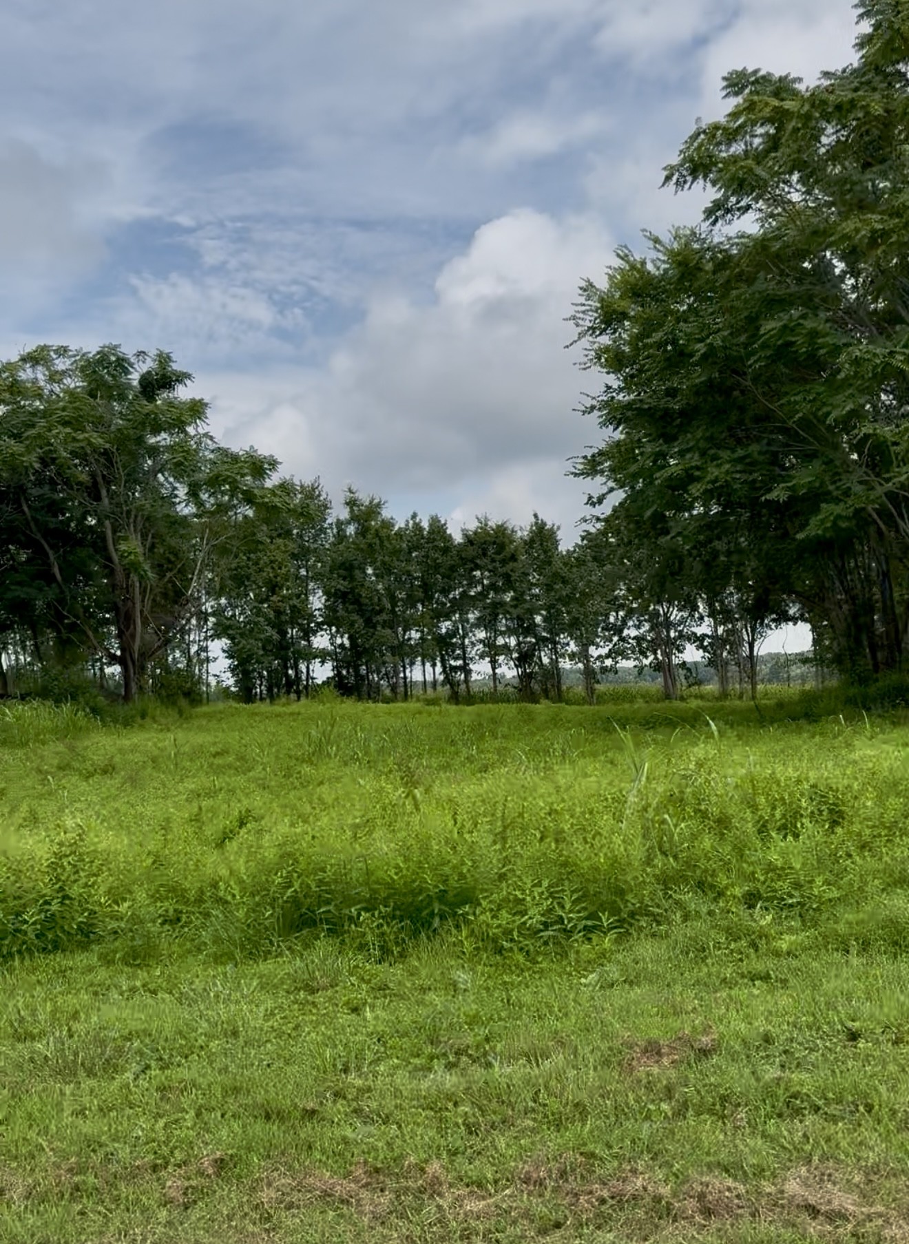 255 Shoals Road Rock Island TN 38581