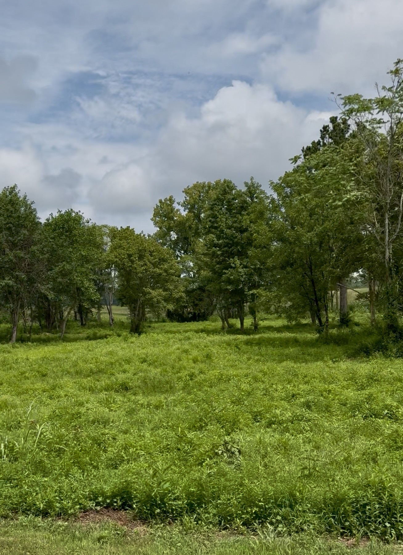 255 Shoals Road Rock Island TN 38581