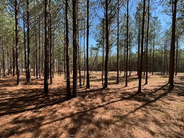 0 Worley Road Soddy Daisy TN 37379