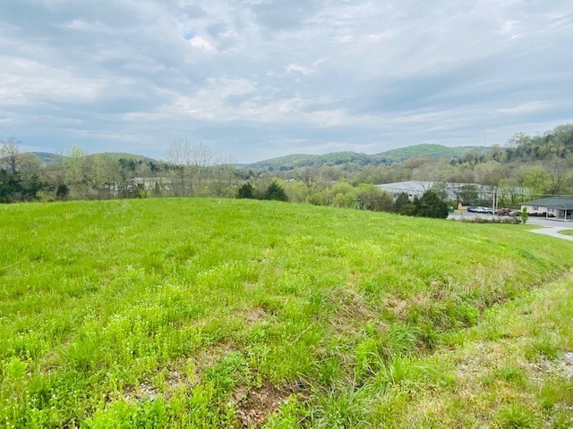 226 Jmz Drive Gordonsville TN 38563