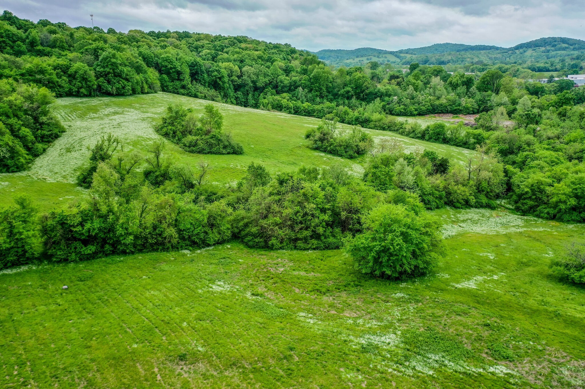 226 Jmz Drive Gordonsville TN 38563