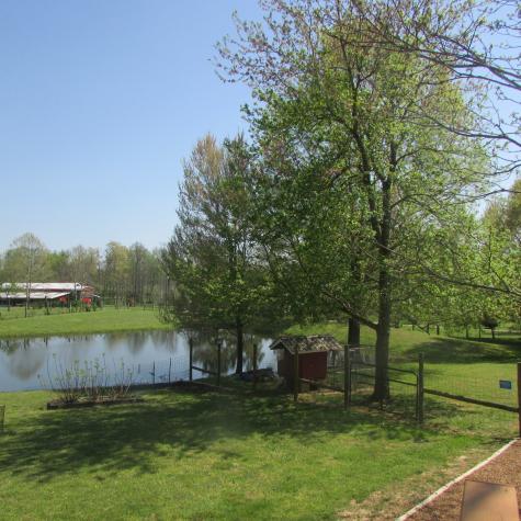 75 Snell Road Ethridge TN 38456