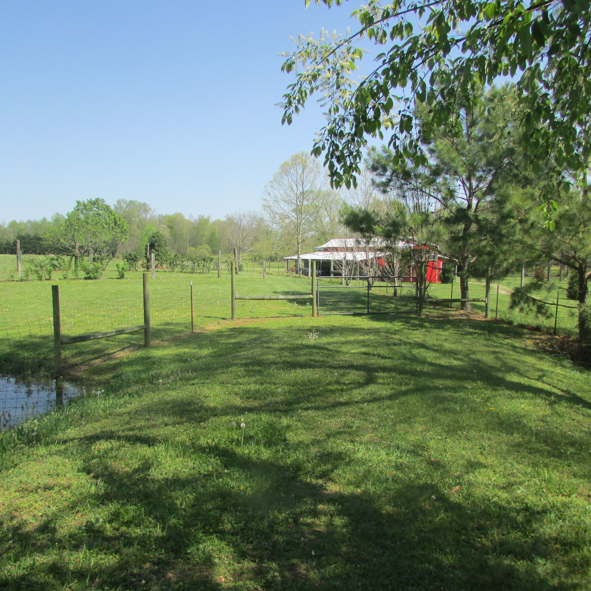 75 Snell Road Ethridge TN 38456