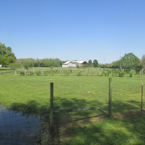 75 Snell Road Ethridge TN 38456