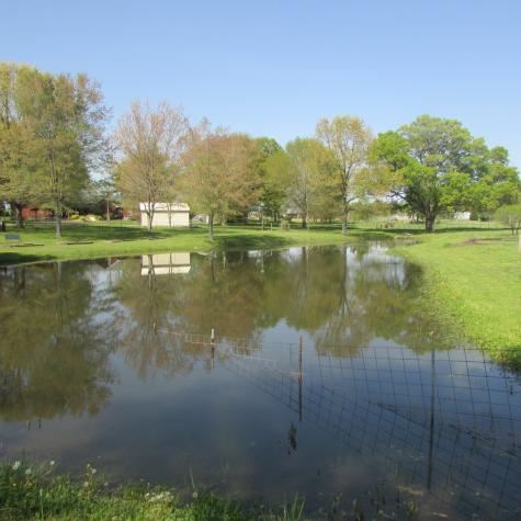 75 Snell Road Ethridge TN 38456