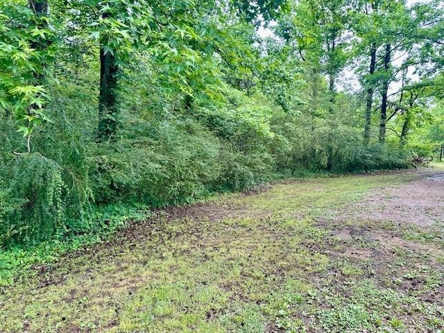 15 Brookwood Loop Adamsville TN 38310