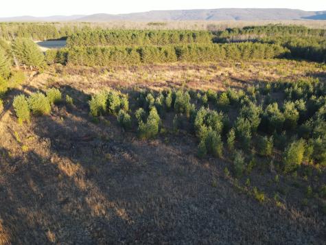 0 Hickerson Road Manchester TN 37355