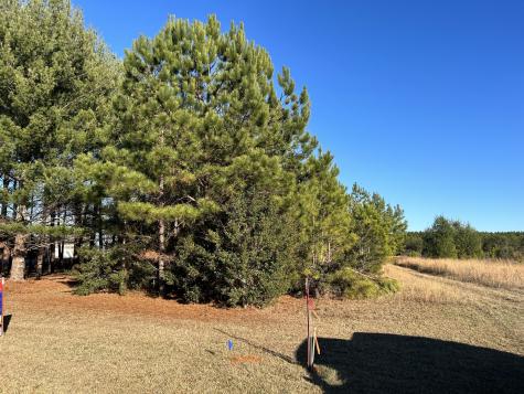 0 Hickerson Road Manchester TN 37355