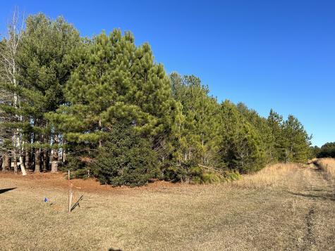 0 Hickerson Road Manchester TN 37355