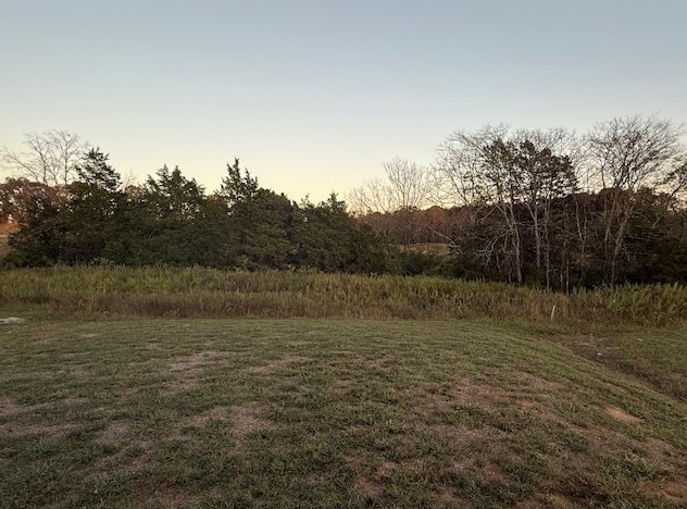 106 Emeline Way Mount Juliet TN 37122