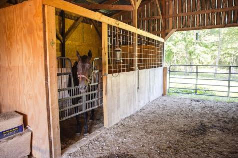 5761 Lexie Beans Creek Road Belvidere TN 37306