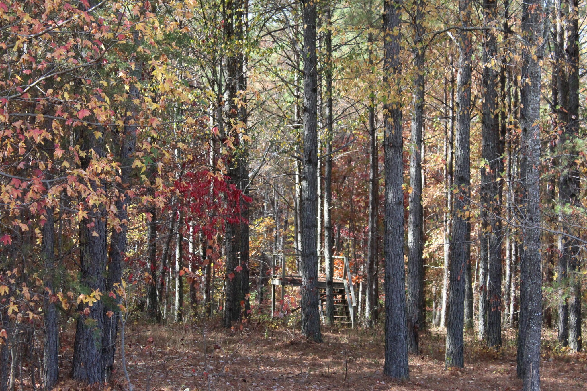 465 Compass Drive Jasper TN 37347