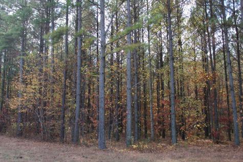 465 Compass Drive Jasper TN 37347