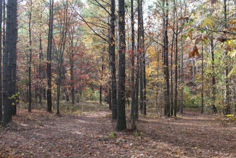 465 Compass Drive Jasper TN 37347