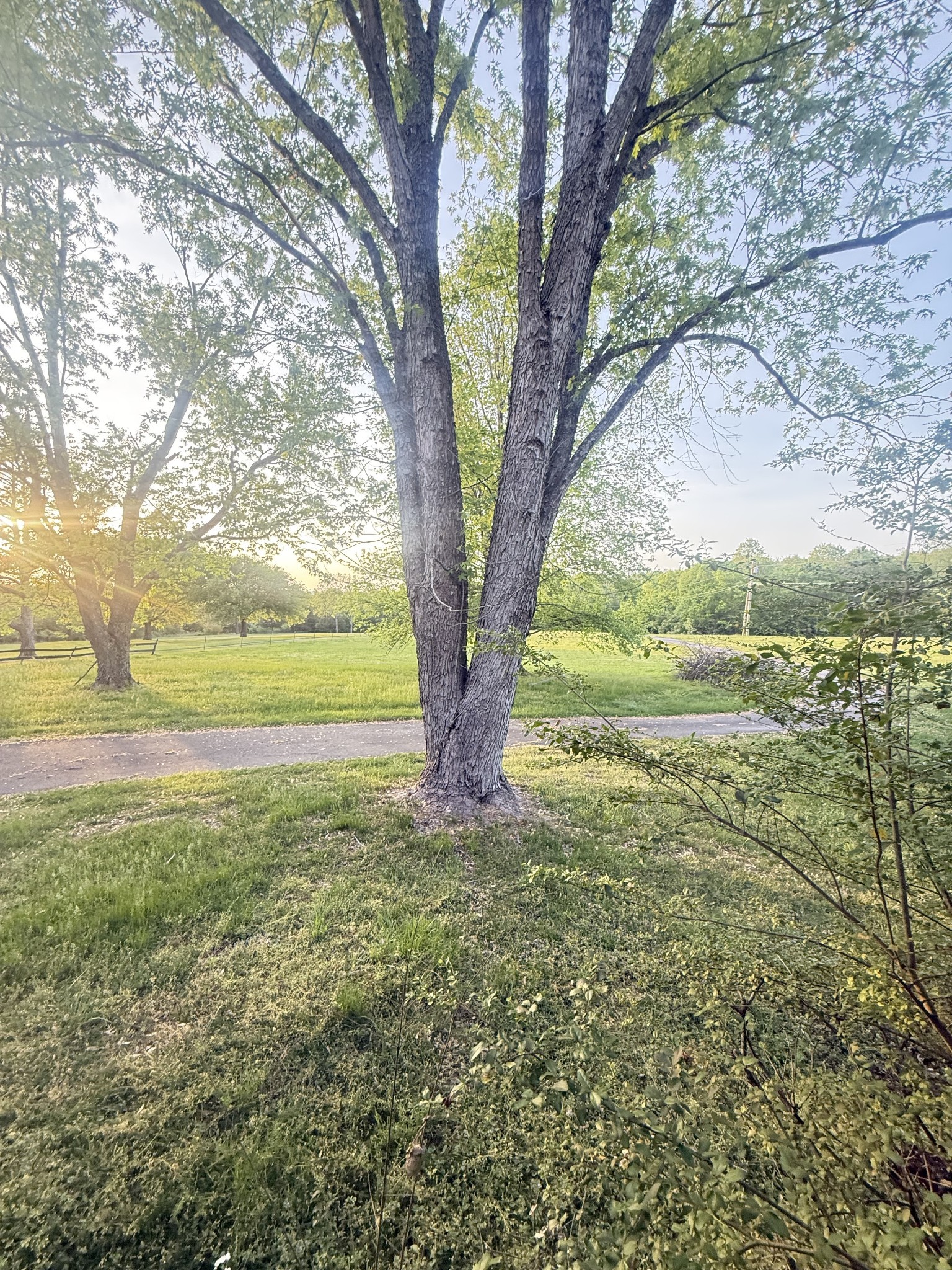 191 Cooks Road Extension Mount Juliet TN 37122