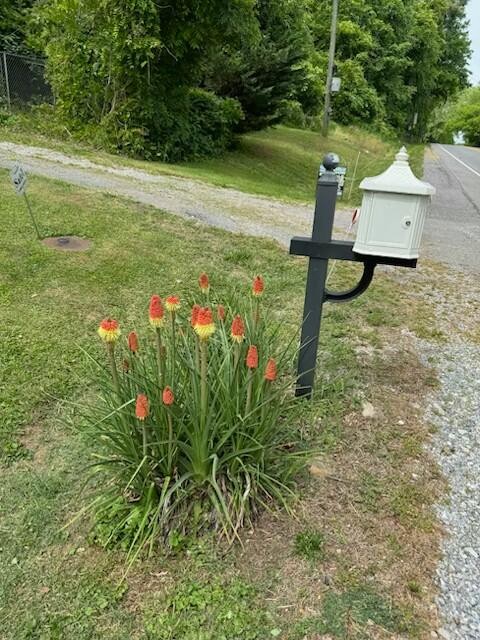 9242 Asheville Highway Knoxville TN 37924