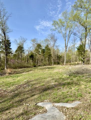 0 Buncombe Road Belvidere TN 37306