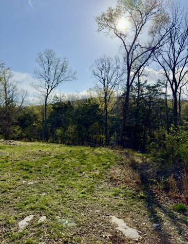 0 Buncombe Road Belvidere TN 37306